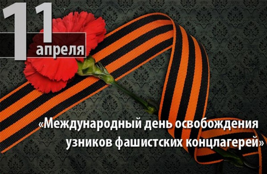 ����� ����������� ������ �� ���������� �����������