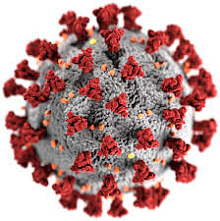 Целевой конкурс грантов «Фундаментальные проблемы возникновения и распространения коронавирусных эпидемий»